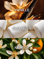 Three stacked panels for L’AIMANT showing a vanilla orchid and bean labeled VANILLE, a pile of white marshmallows labeled GUIMAUVE, and white citrus blossoms labeled NÉROLIE.