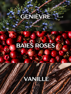 RÉSONANCE