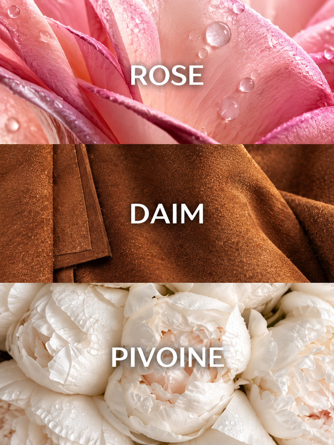 LE FLEURISTE
