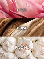 Three stacked horizontal panels of CANDEUR eau de parfum: a pink rose petal with water droplets labeled ROSE, wood grain labeled BOISÉ, and white peonies with water droplets labeled PIVOINE.