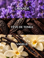 Three horizontal panels featuring purple lavender, dark brown tonka beans, and white vanilla orchids with pods labeled LAVANDE, FÈVE DE TONKA, and VANILLE for LE RENDEZ-VOUS ambré eau de parfum.