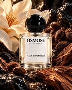 FLEUR IMMORTELLE
