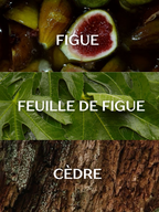 Vertical collage for LE FIGUIER featuring a sliced fig, green fig leaves, and textured cedar bark, with the labels FIGUE, FEUILLE DE FIGUE, and CÈDRE overlaid on each section.