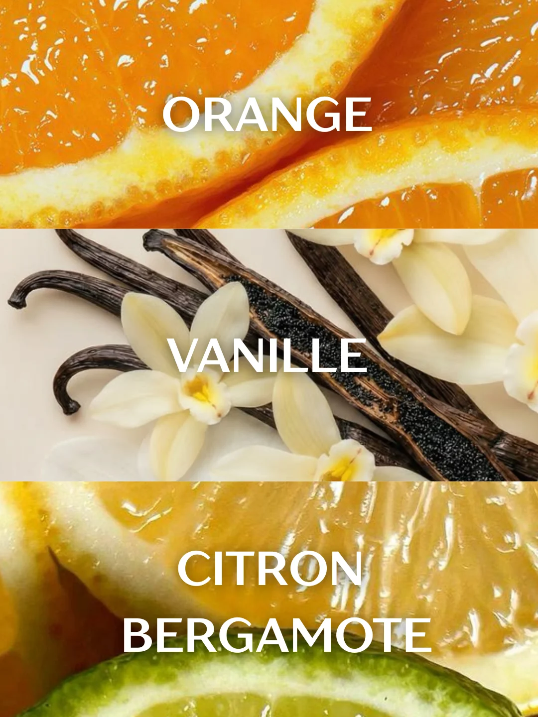 A three-paneled image for ALLURE VIVE featuring orange segments, vanilla beans and blossoms, and citrus fruits labeled ORANGE, VANILLE, and CITRON BERGAMOTE in a fruity fragrance composition.